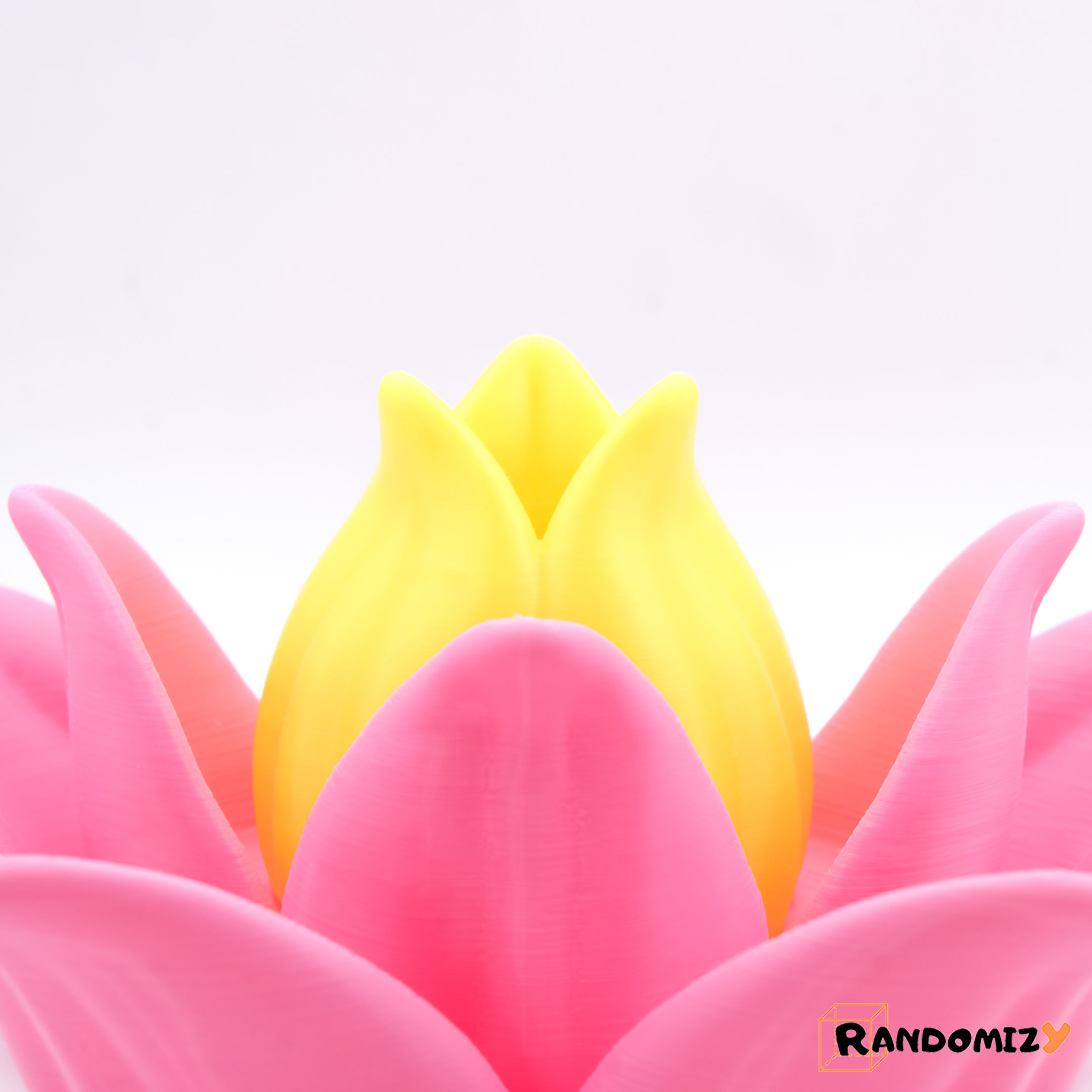 Multifunctional Lotus Flower 3D print model_2