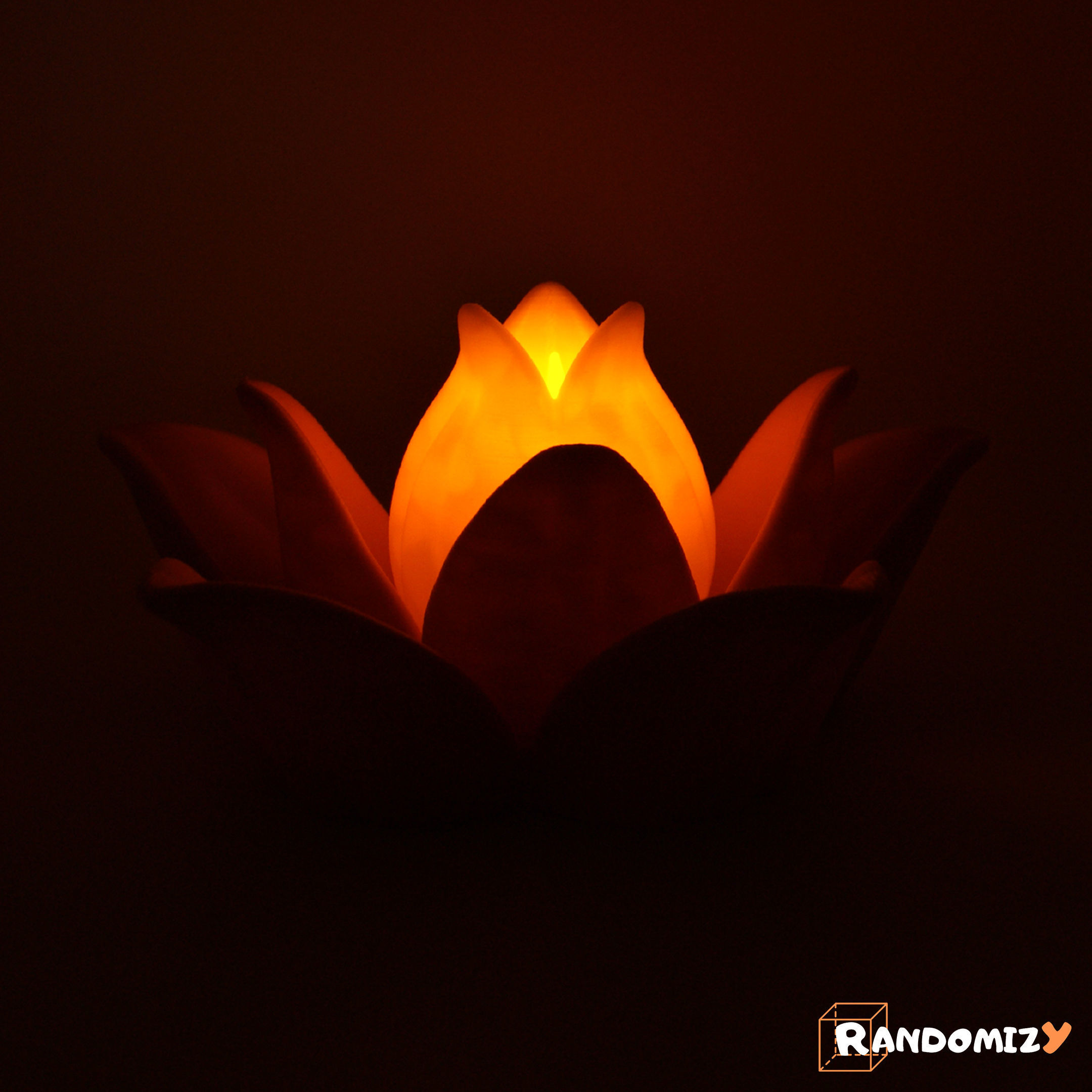 Multifunctional Lotus Flower 3D print model_4