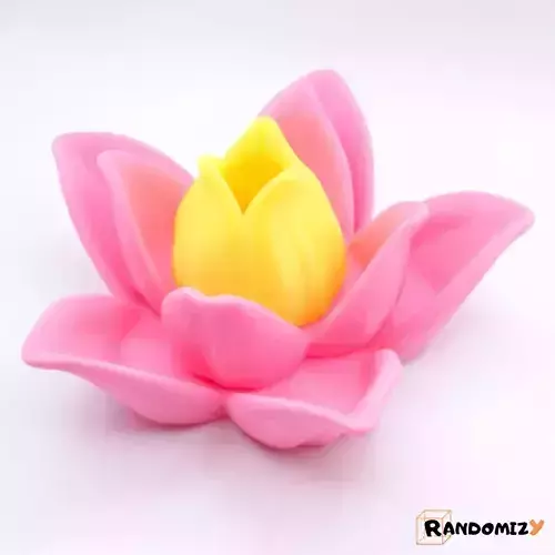 Multifunctional Lotus Flower 3D print model