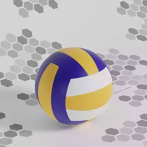 Volleyball