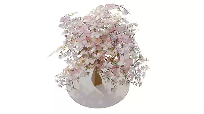 Cherry Blossom tree  Low-poly 3D model