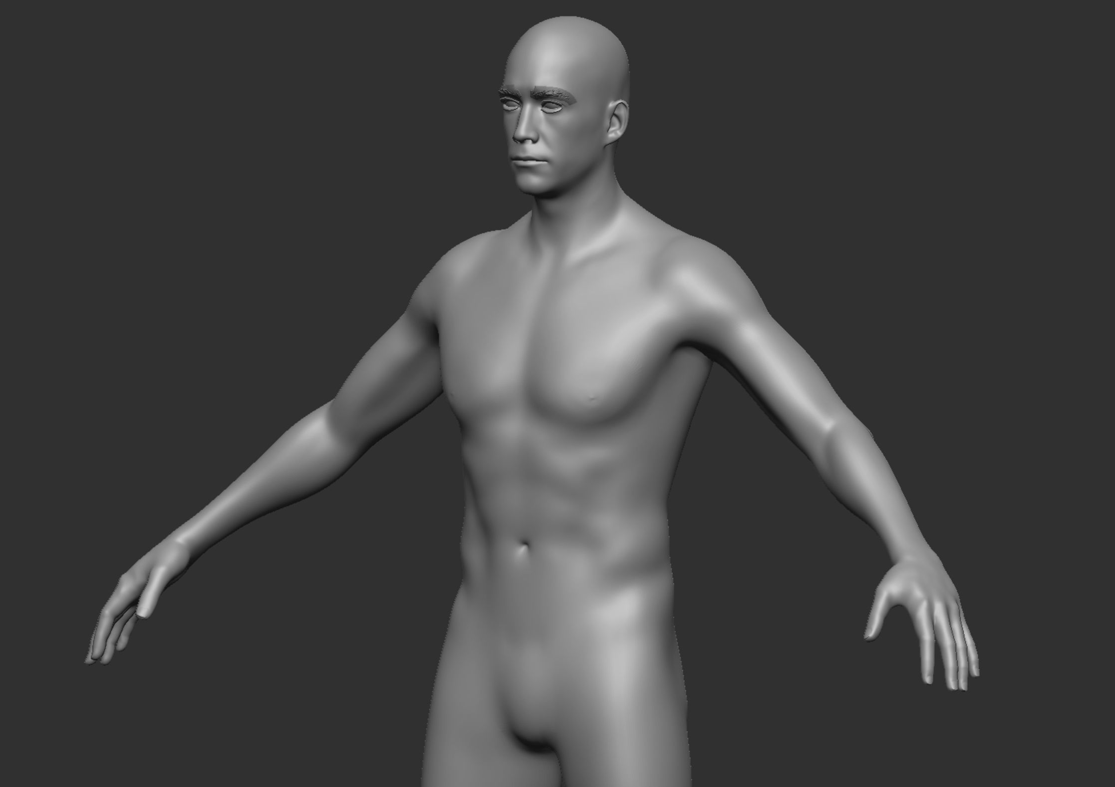 Anatomy 3D model_18