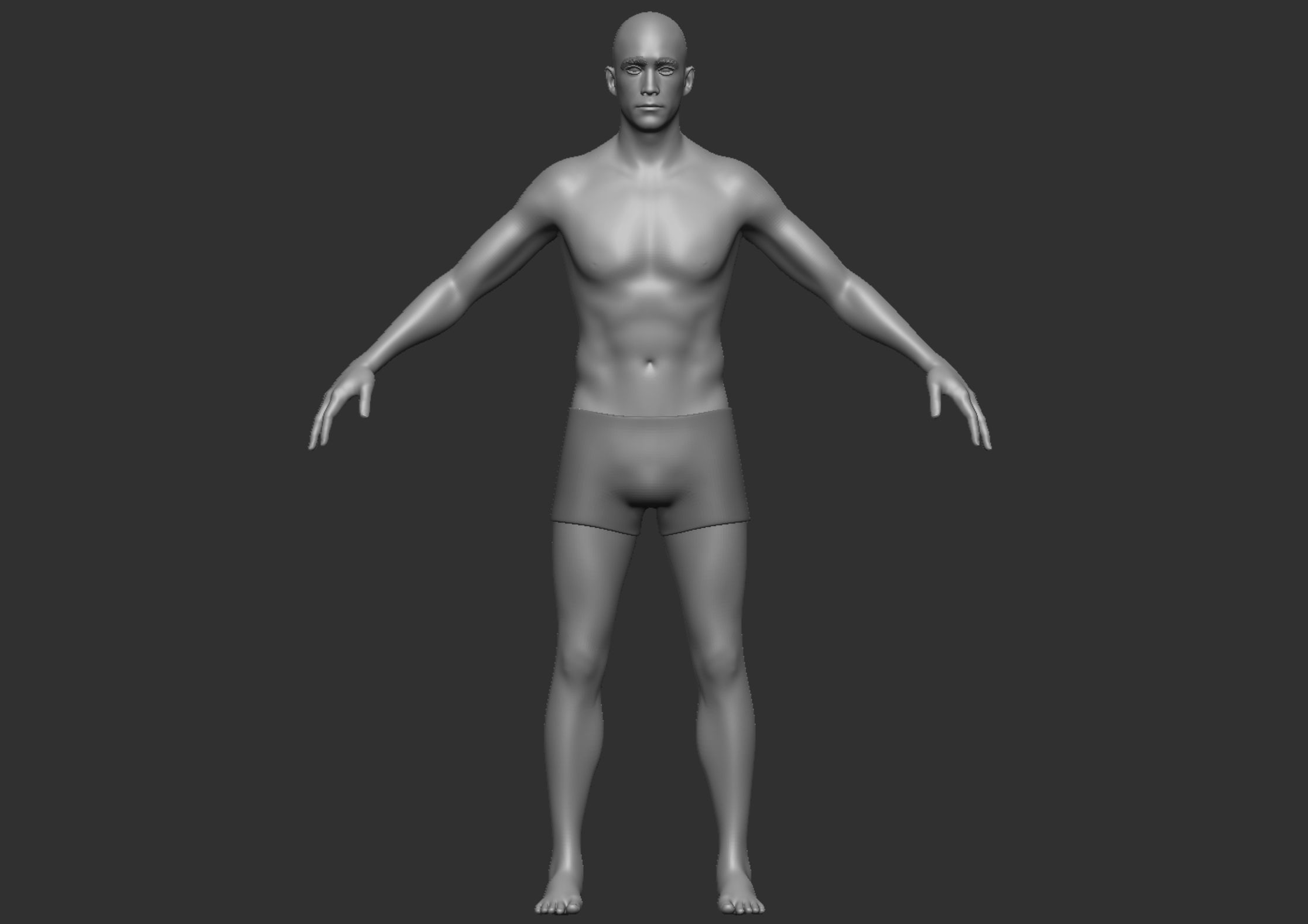 Anatomy 3D model_31