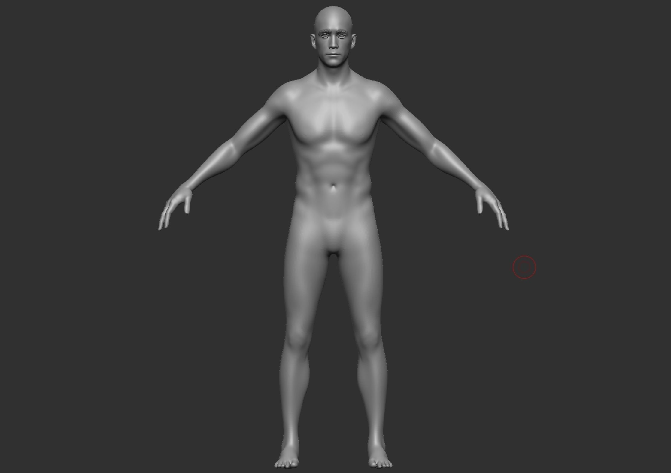 Anatomy 3D model_4