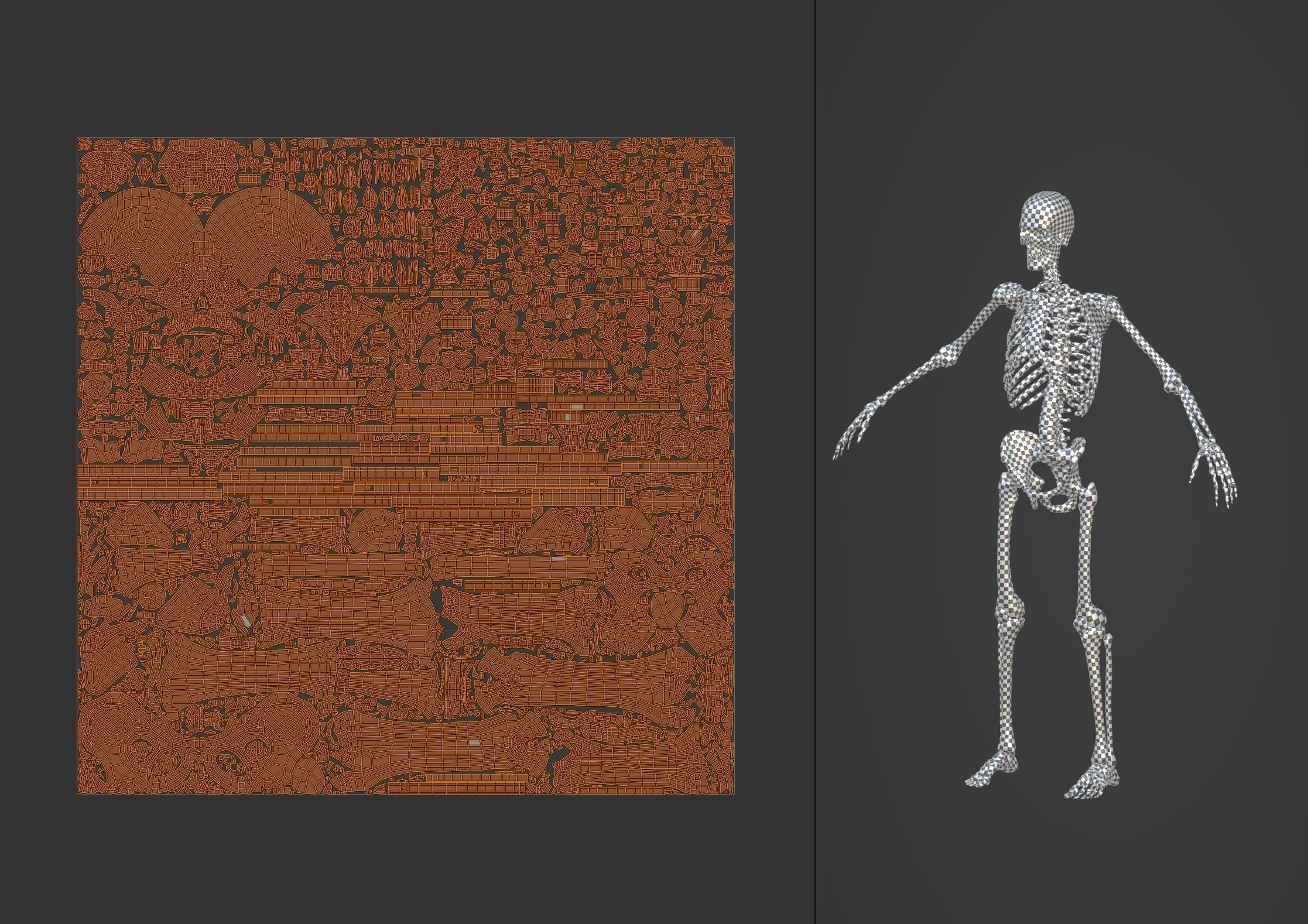 Anatomy 3D model_29