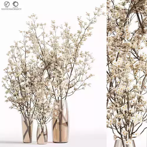 Collaction Plants Bouquet 11