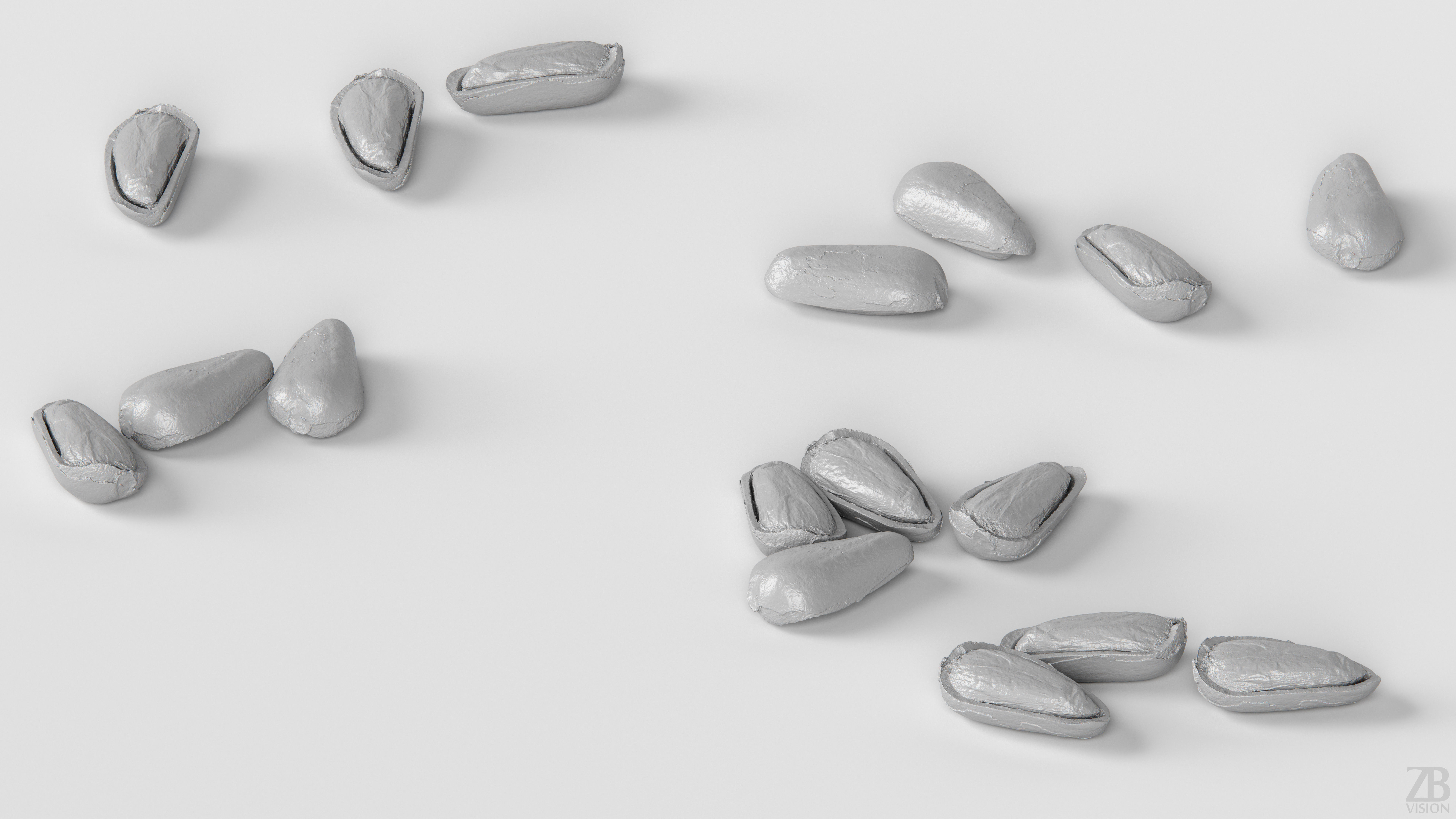 Pine Seed  3D model_3