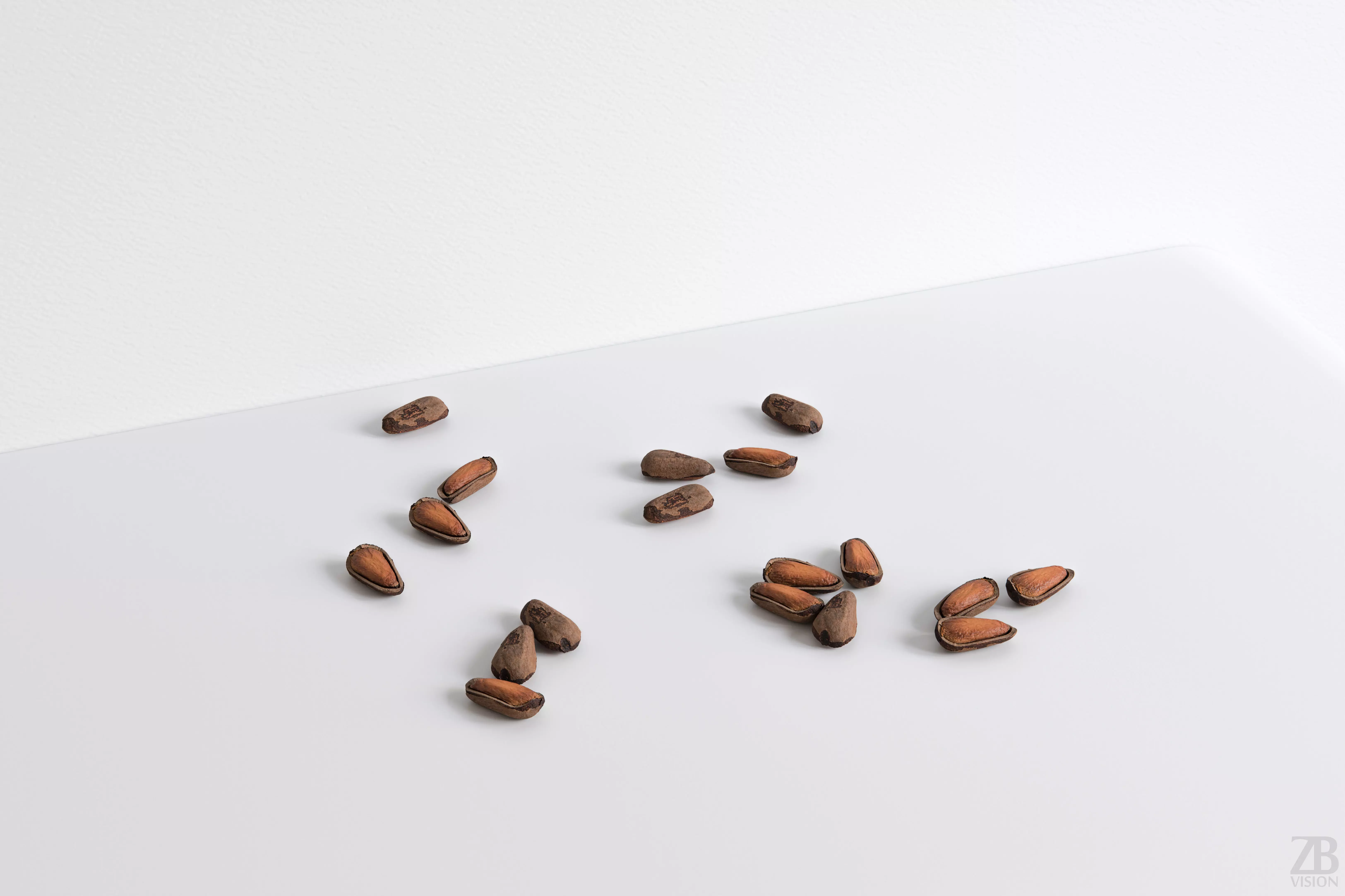 Pine Seed  3D model_0