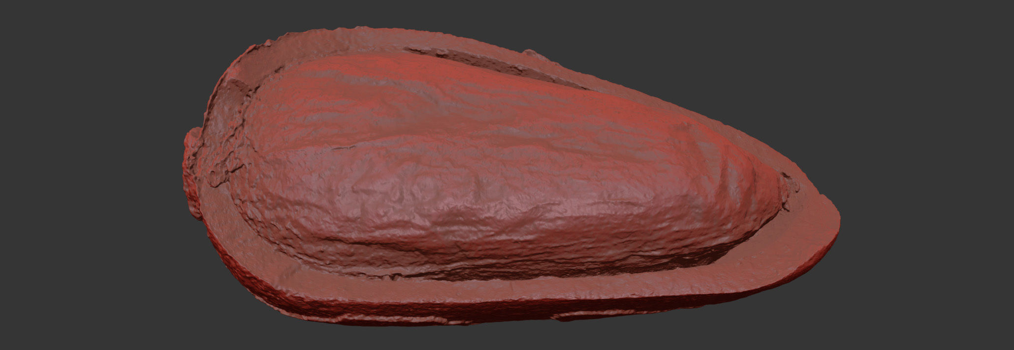 Pine Seed  3D model_7