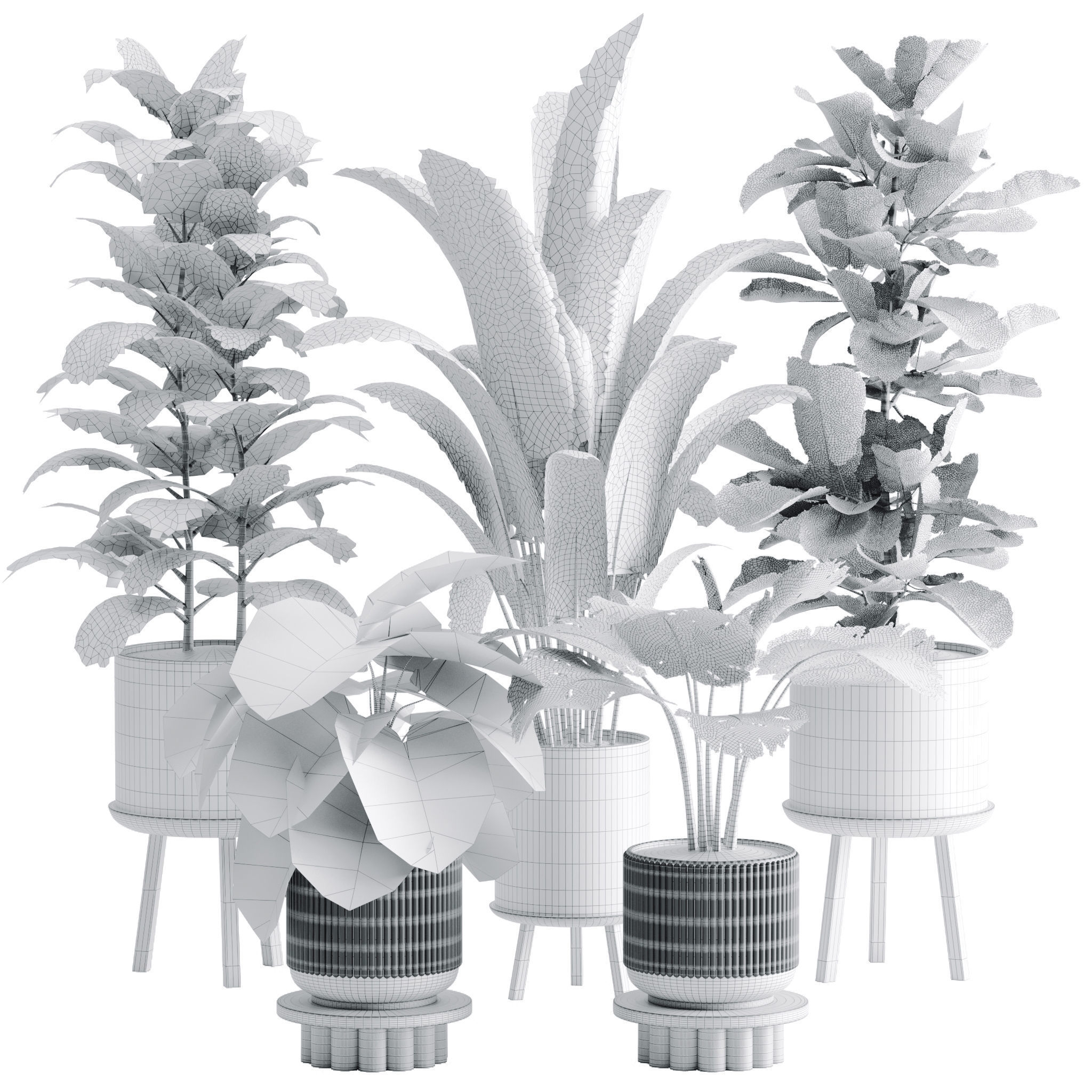 Plant set 03 3D model_3