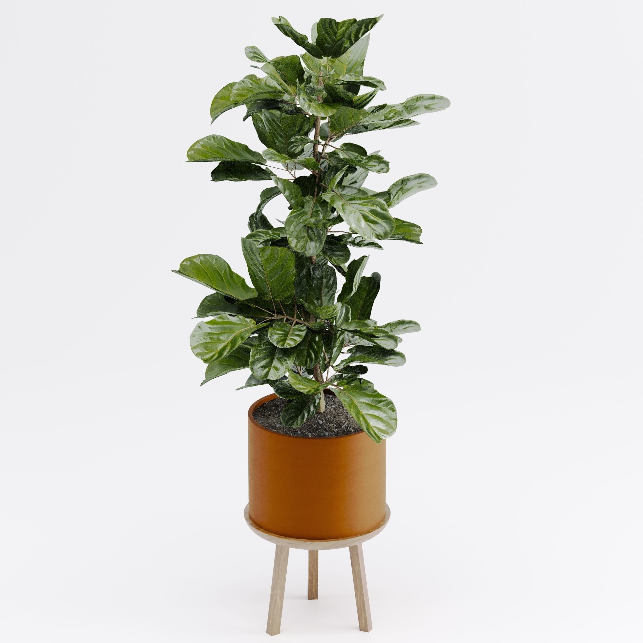 Plant set 03 3D model_6