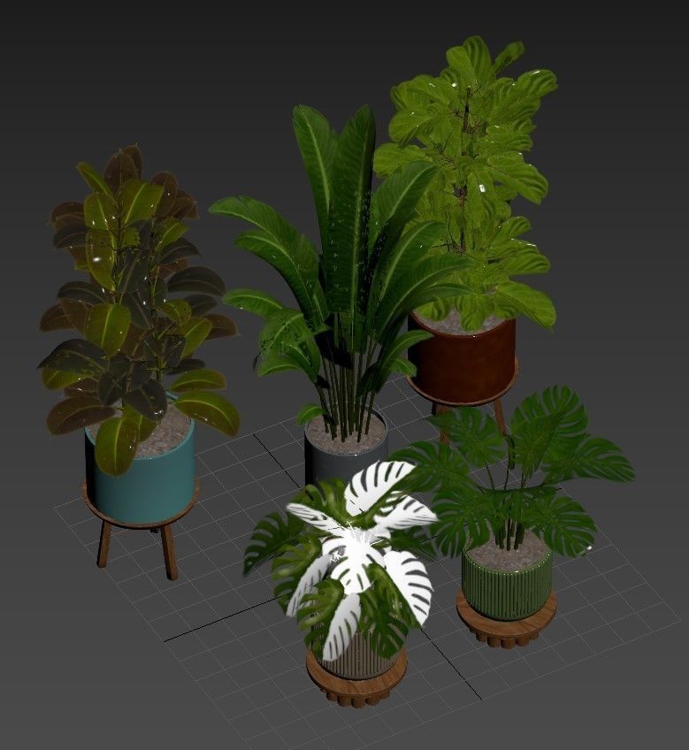 Plant set 03 3D model_8