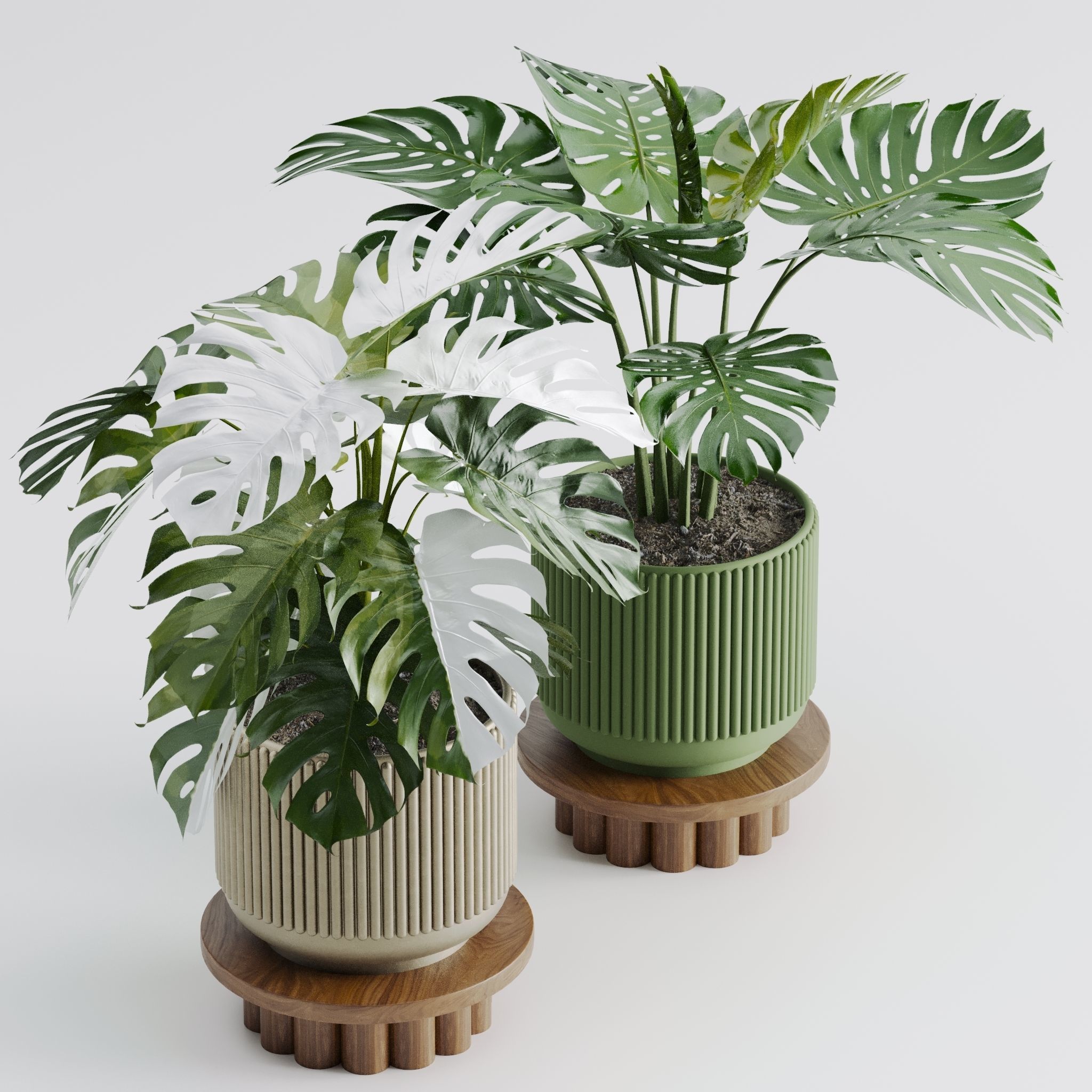 Plant set 03 3D model_7