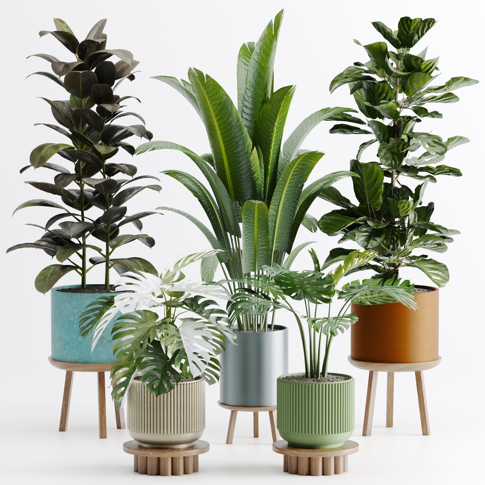 Plant set 03 3D model_16