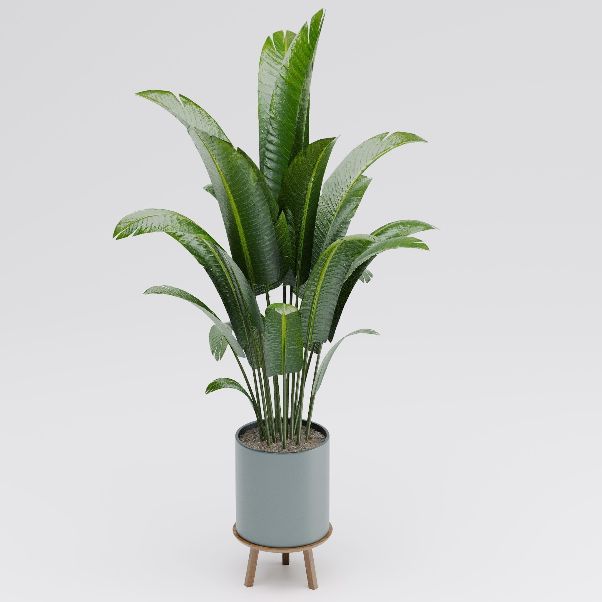 Plant set 03 3D model_5