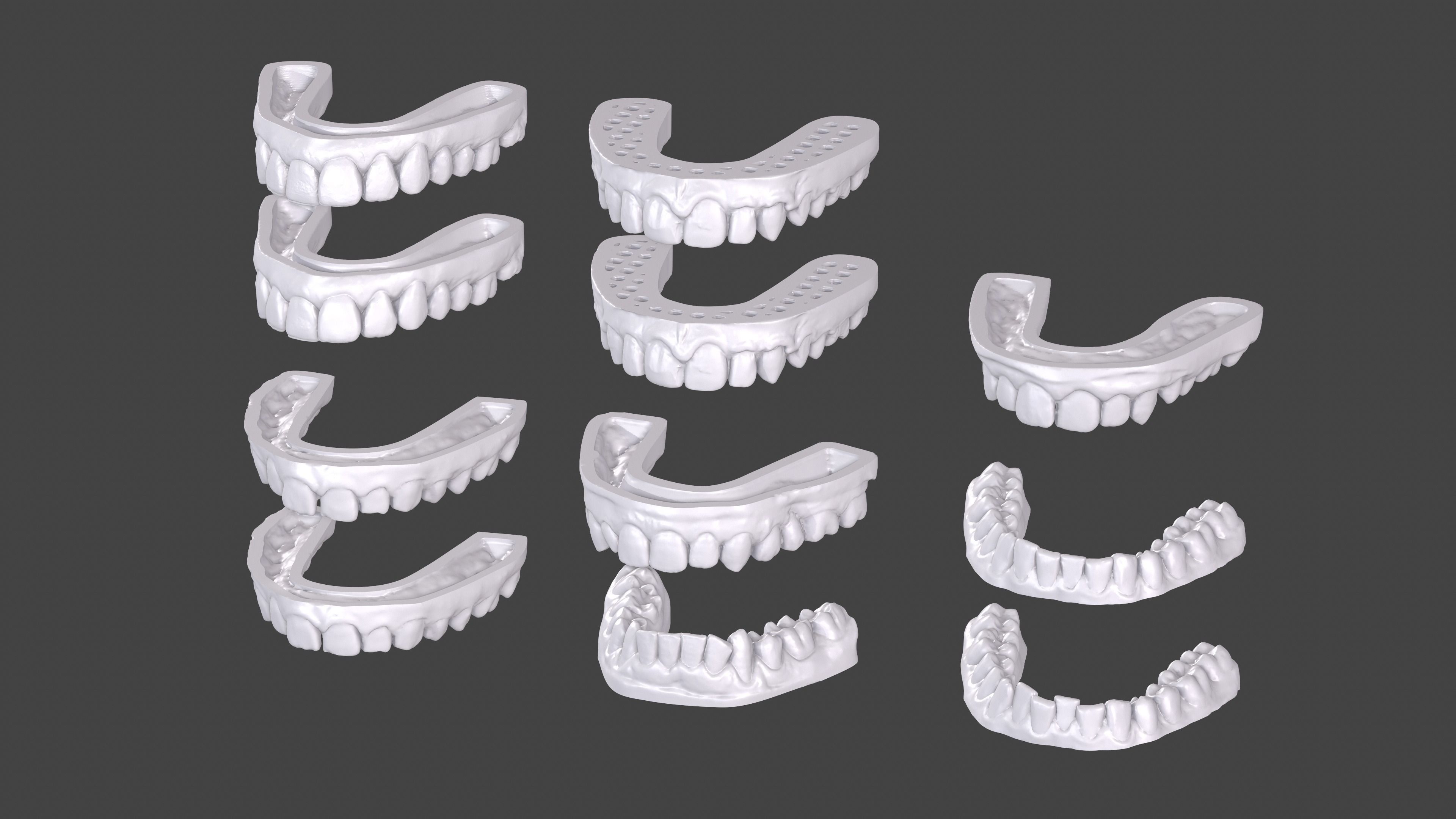 Dental Anatomy 11 Models Real Scanned Medical Case mouthes  3D print model_5