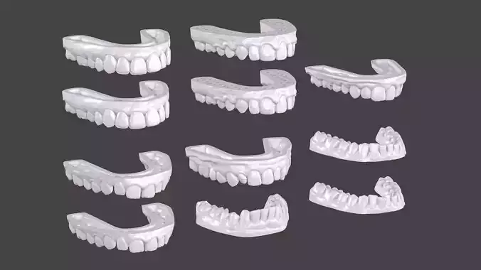 Dental Anatomy 11 Models Real Scanned Medical Case mouthes  3D print model