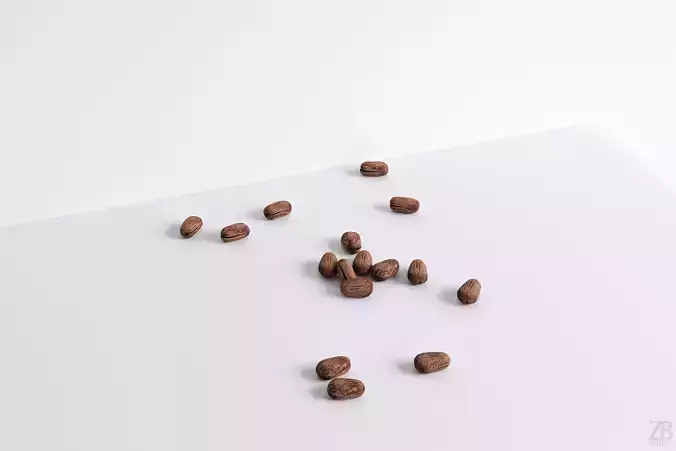 Pine Seed  3D model