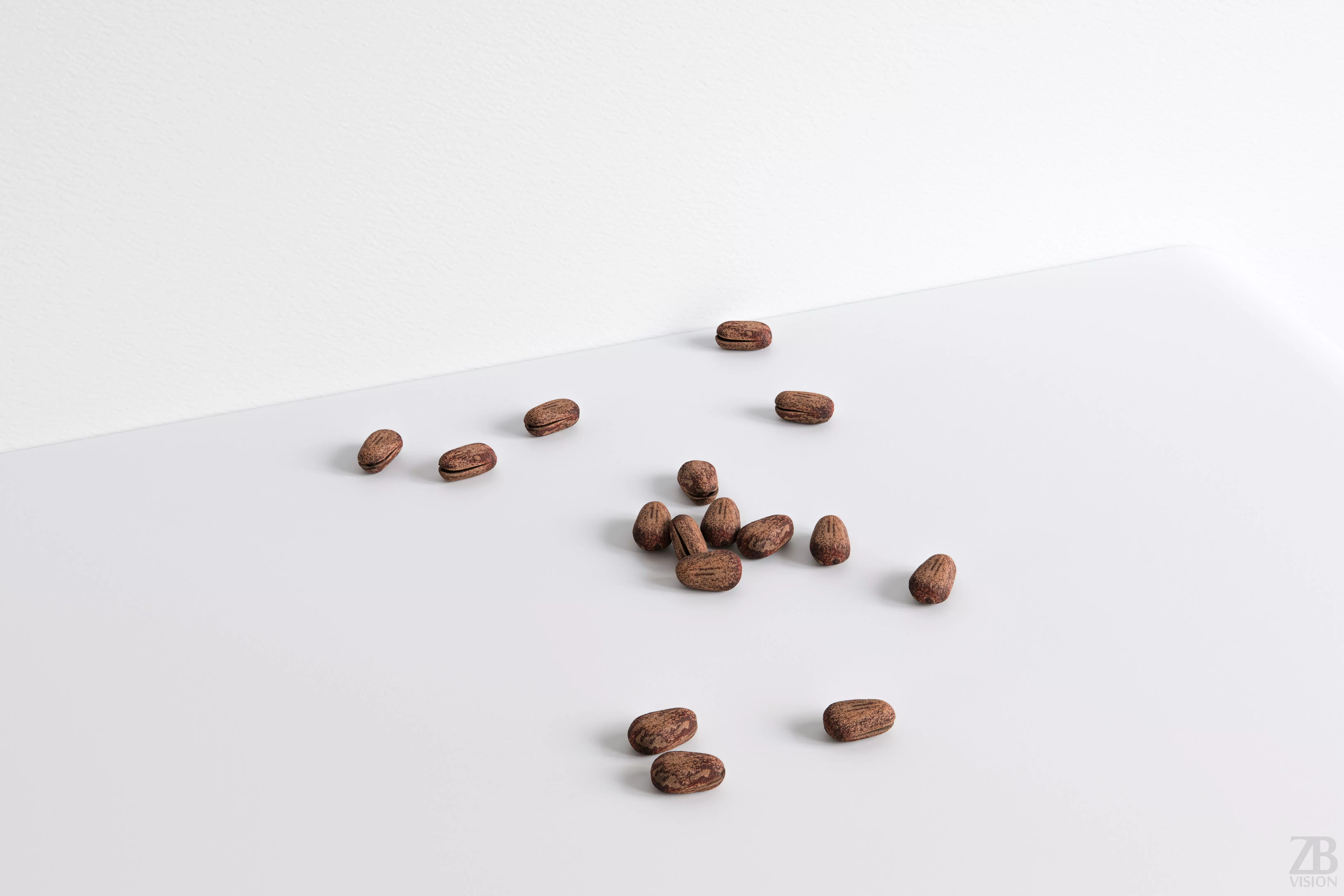 Pine Seed  3D model_0