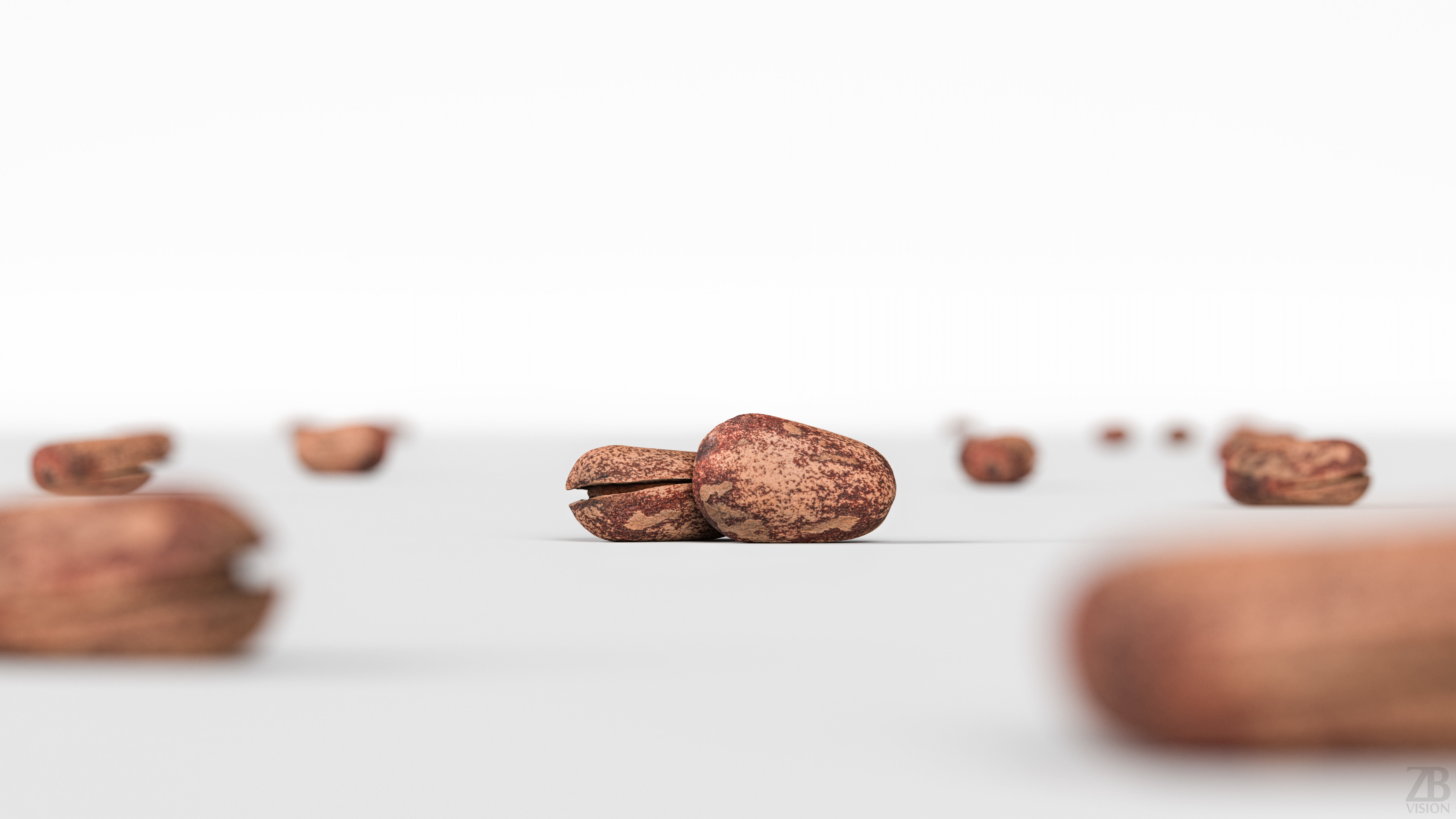 Pine Seed  3D model_1