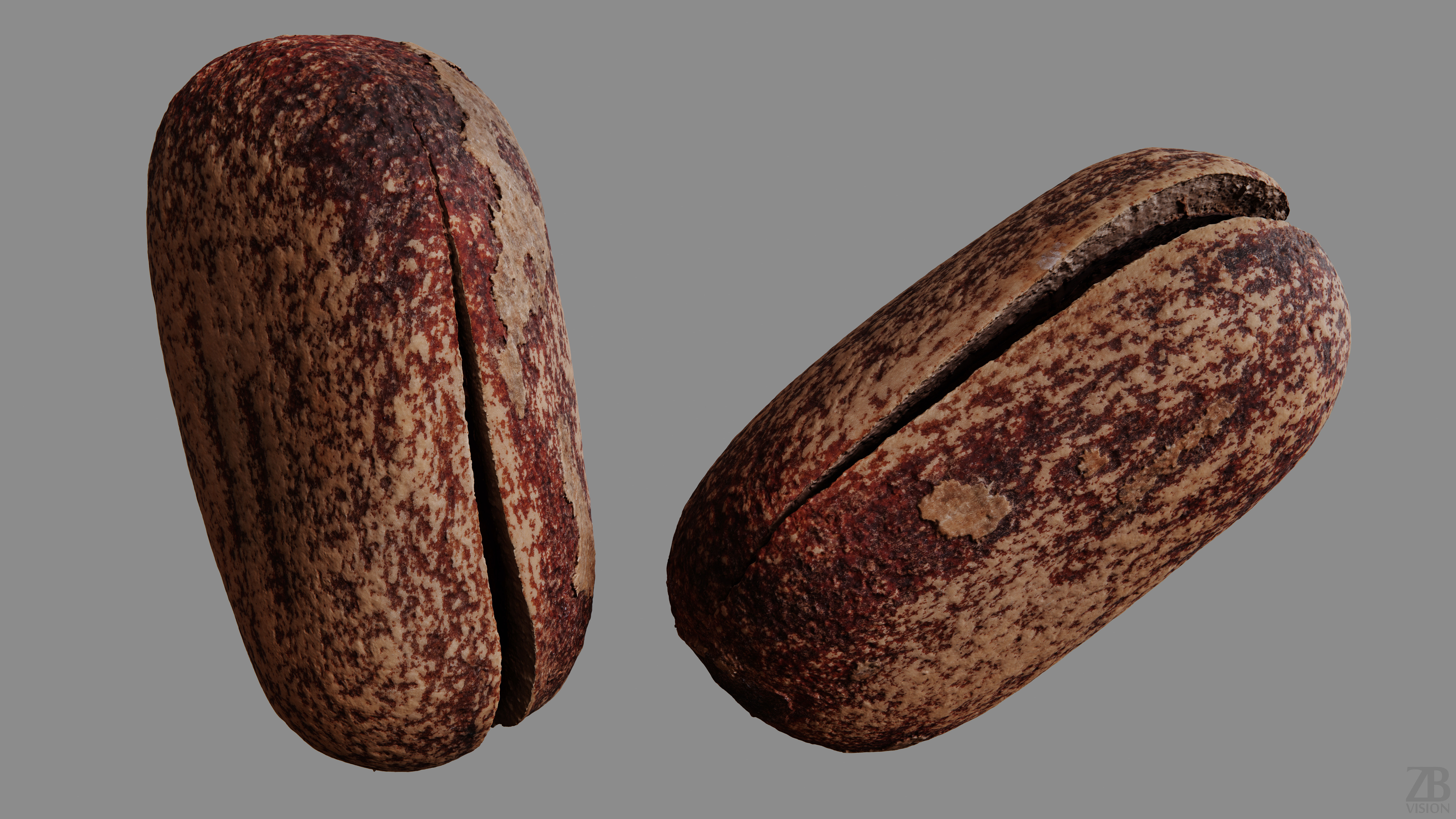 Pine Seed  3D model_9