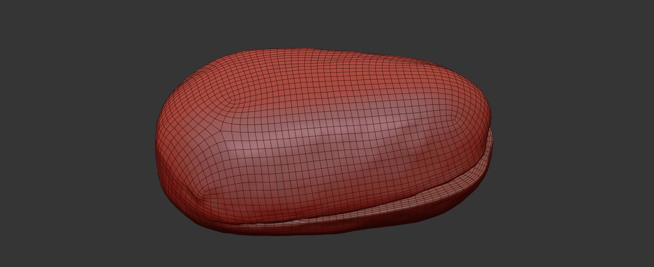 Pine Seed  3D model_6