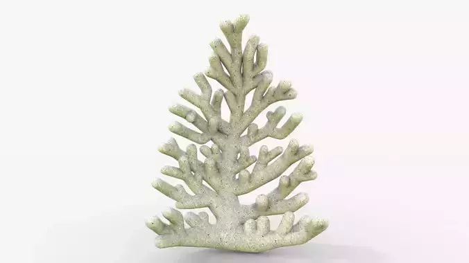 Coral 3D Model