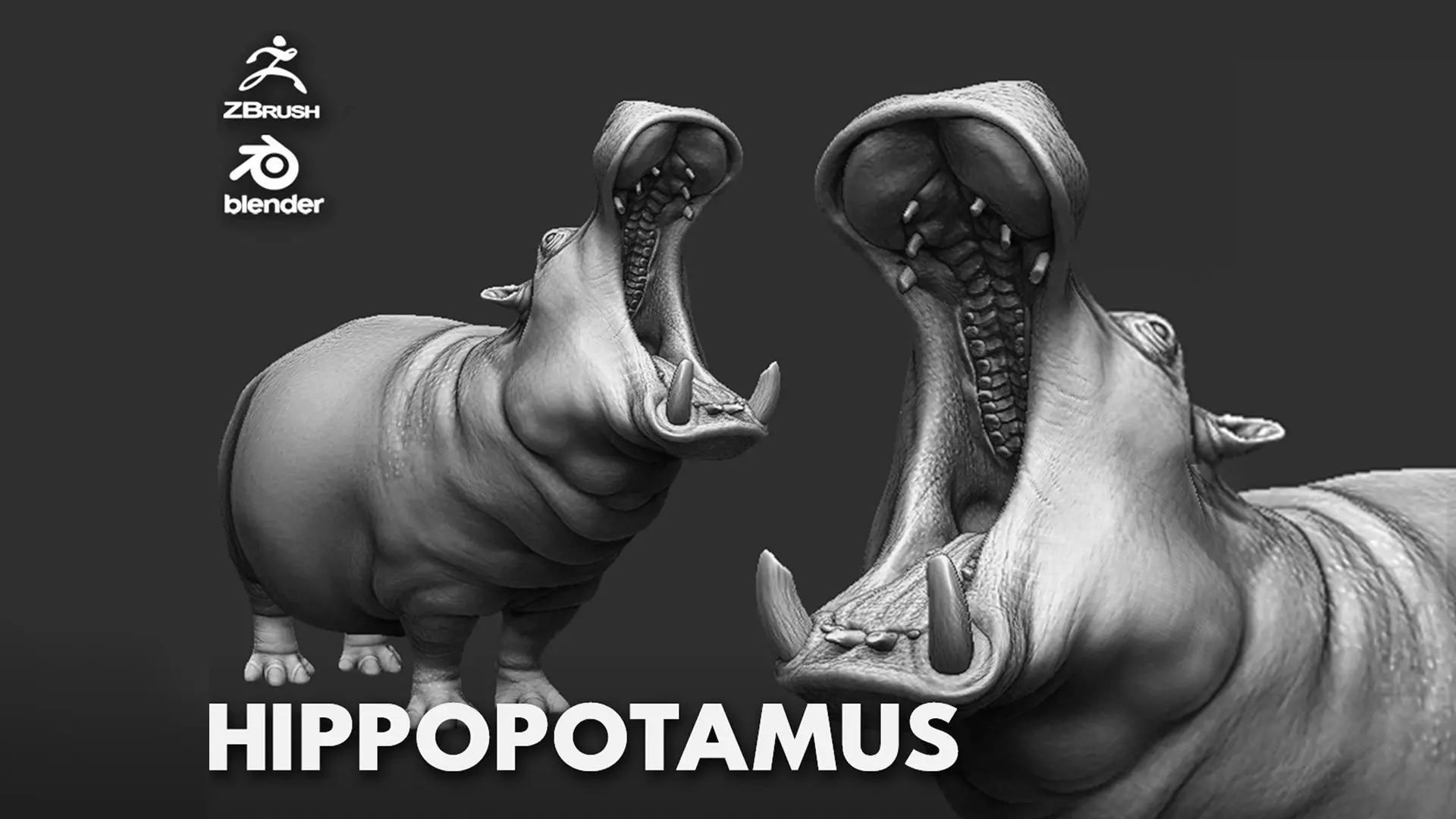 Hippopotamus  Sculpt 3D model_0