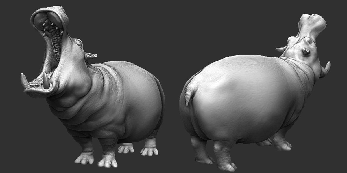 Hippopotamus  Sculpt 3D model_2