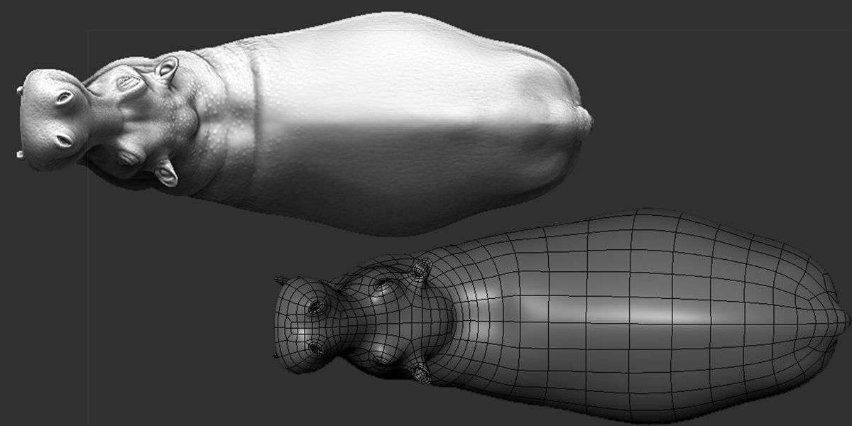 Hippopotamus  Sculpt 3D model_4