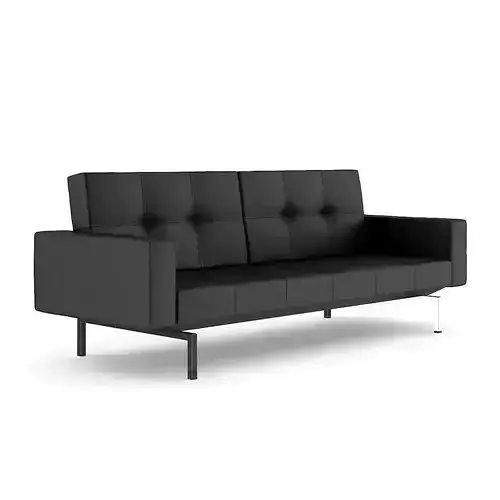 Black Leather Sofa II