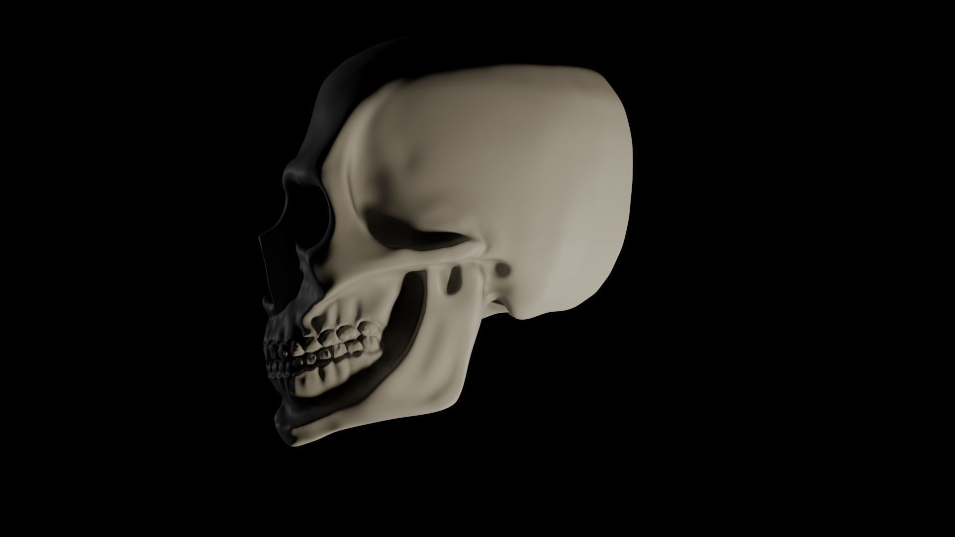 Just an ordinary skull Free 3D model_3