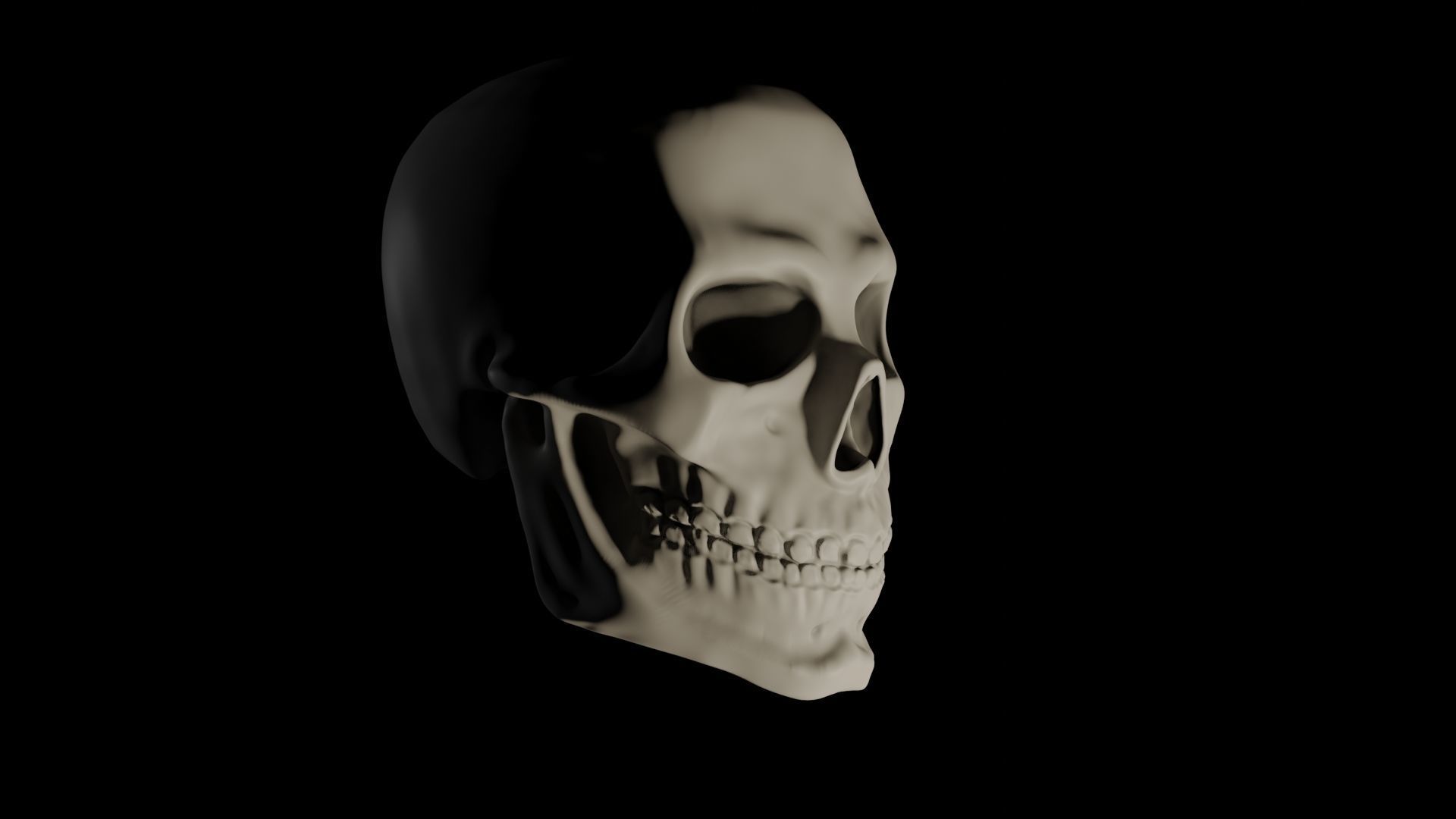 Just an ordinary skull Free 3D model_1