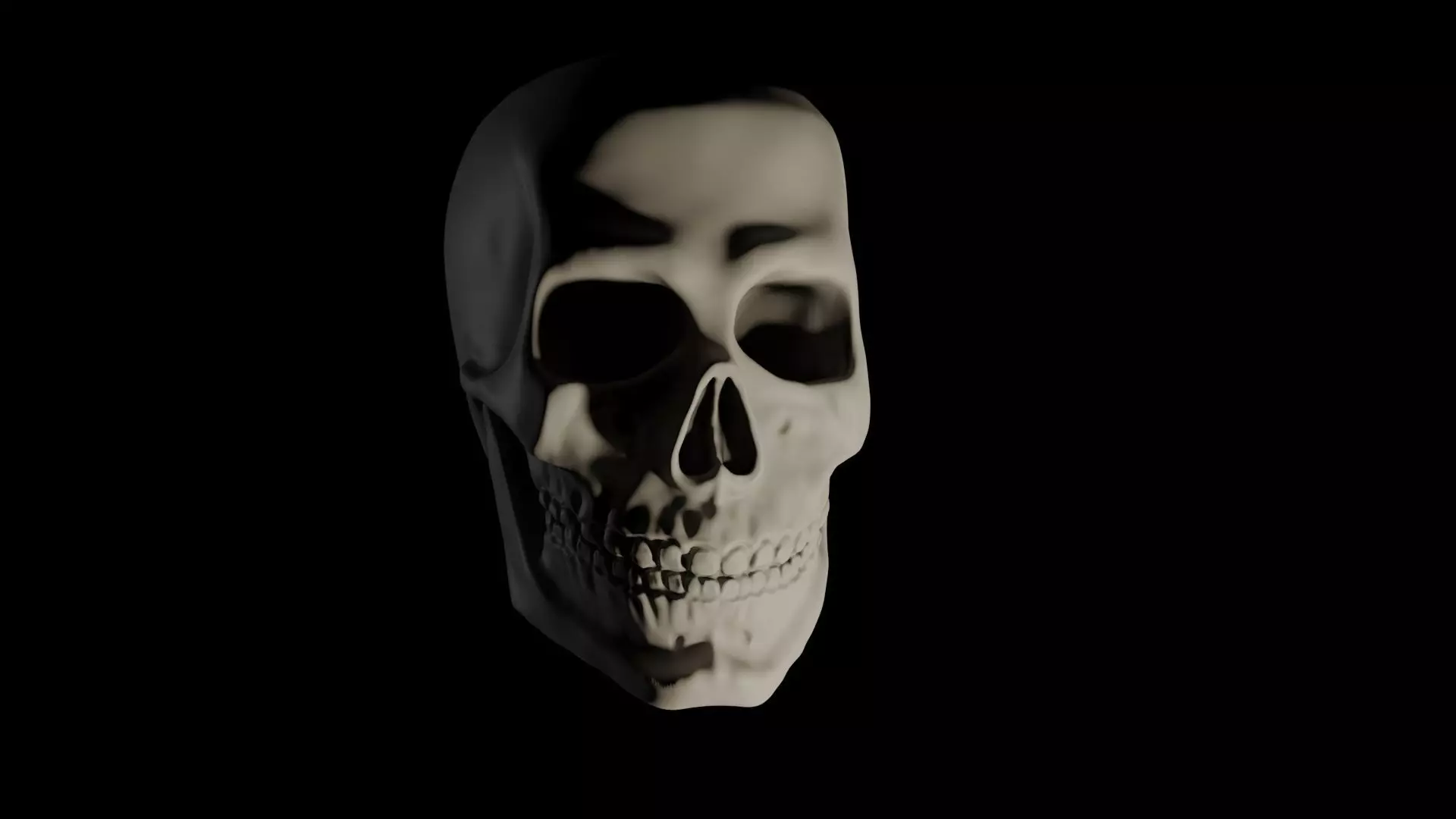 Just an ordinary skull Free 3D model_0