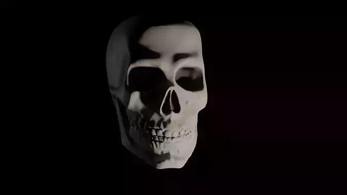 Just an ordinary skull