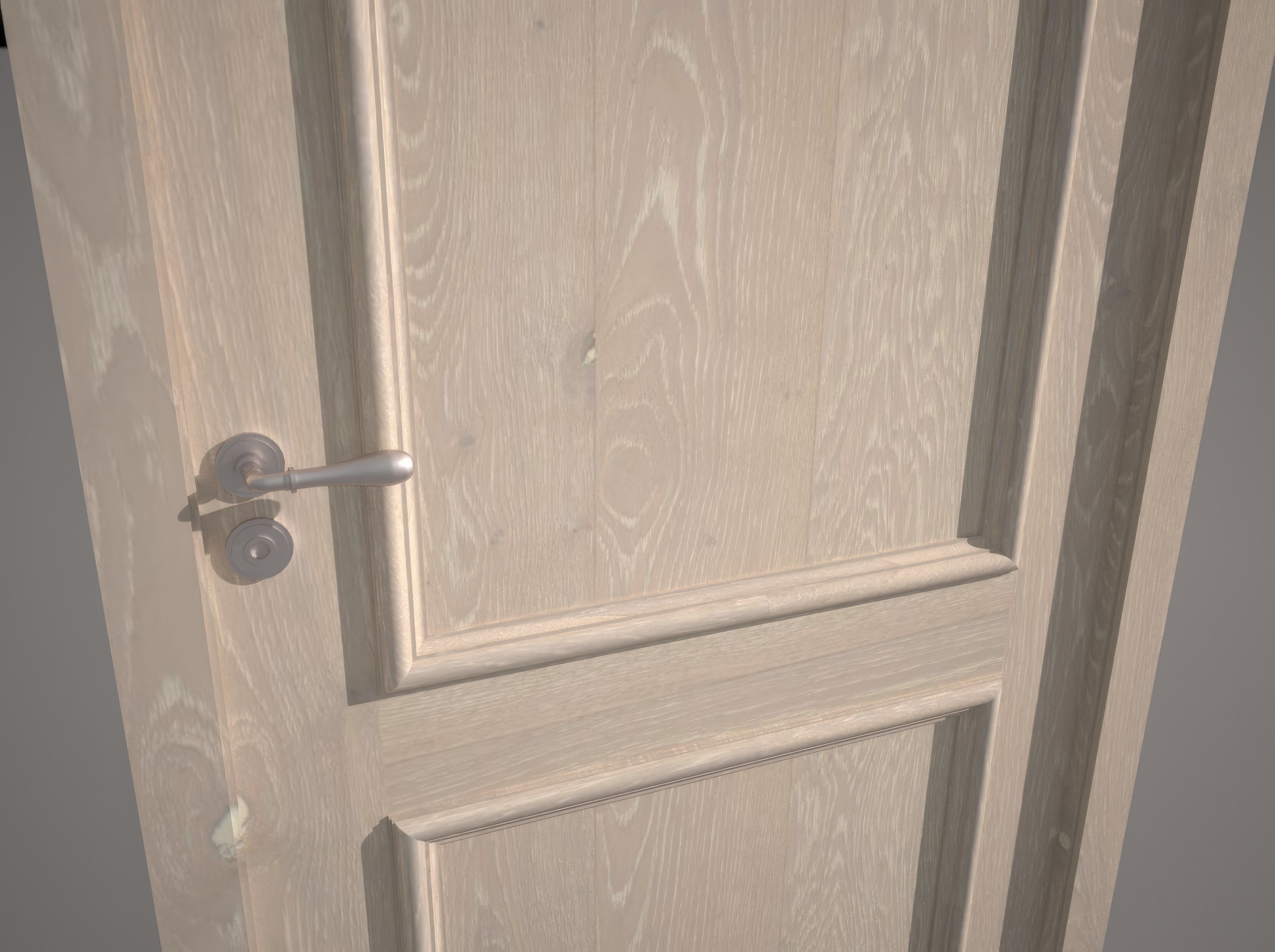 Premium Door 3D model_1