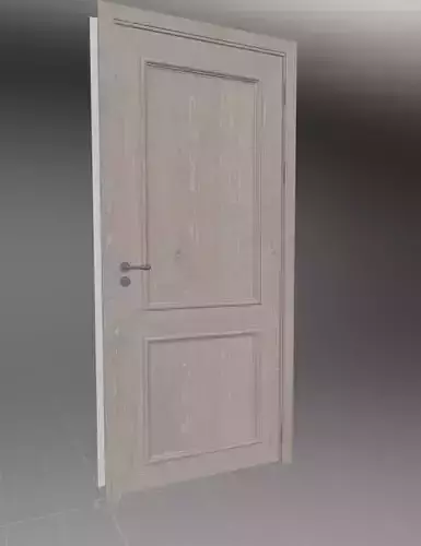 Premium Door