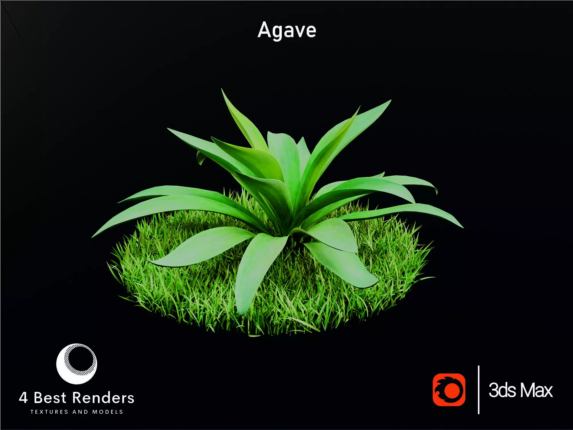 Agave Low-poly 3D model