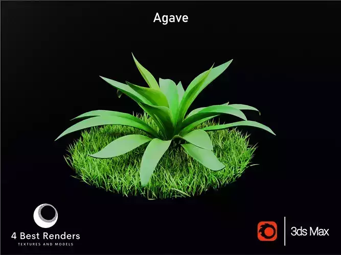 Agave Low-poly 3D model