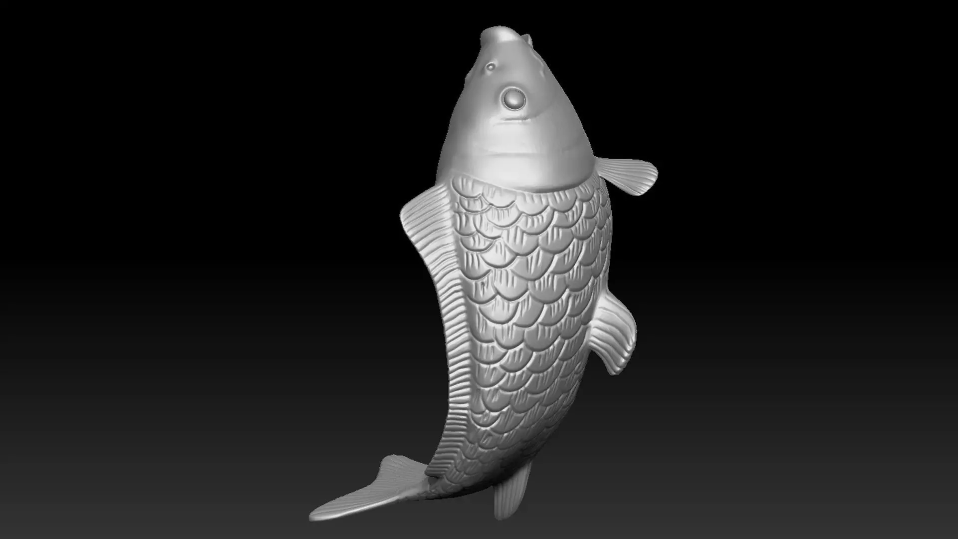 Carp print 3d 3D print model