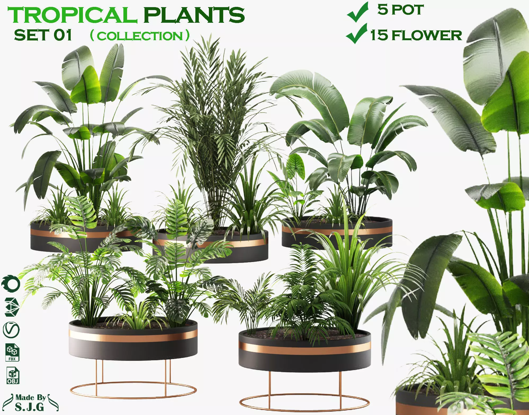 collection tropical set 01 Low-poly 3D model