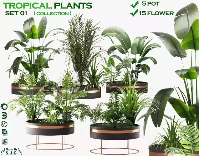 collection tropical set 01