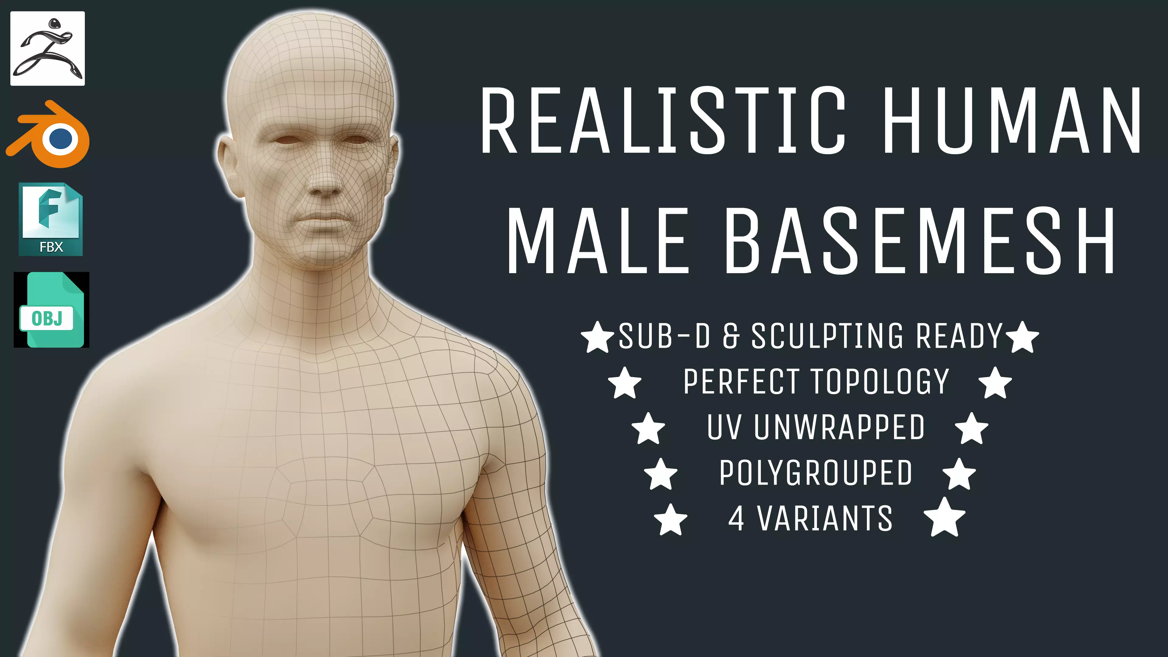 GameReady LowPoly Basemesh Free low-poly 3D model