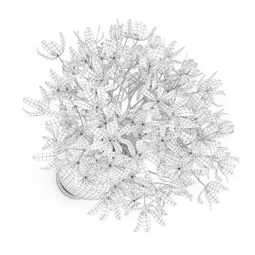 Blue Flowers in White Vase