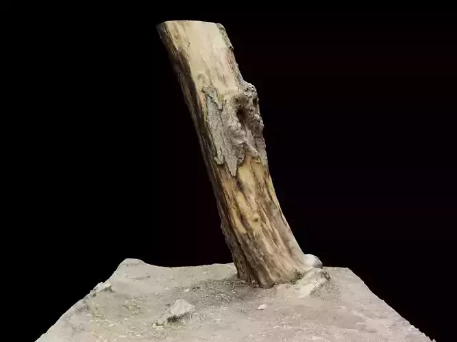hipoly tree trunk