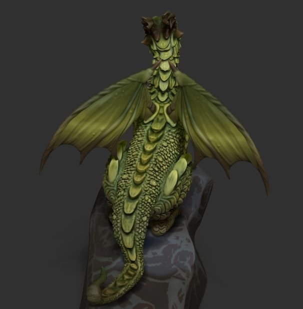 Little forest dragon met a firefly 3D model_10