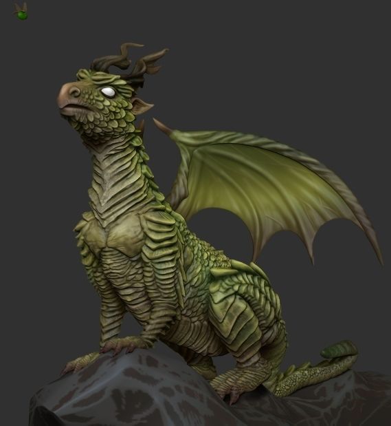 Little forest dragon met a firefly 3D model_11