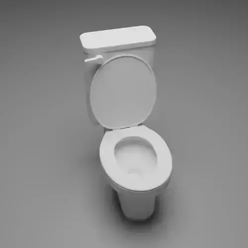 Simple Toilet Bowl without Texture