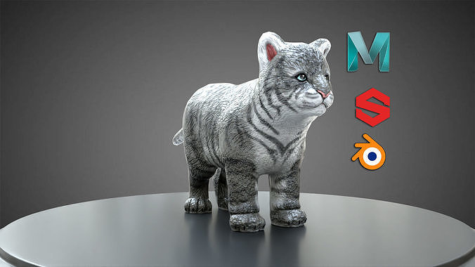 Gray Tiger Kids cubs  Low-poly 3D model