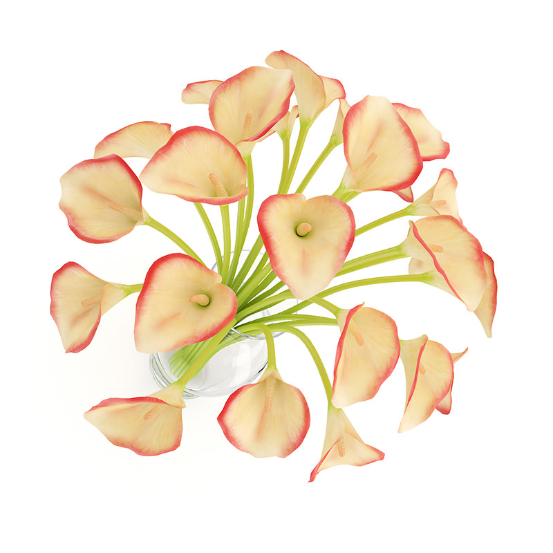 Calla Lilies in Vase 3D model_2